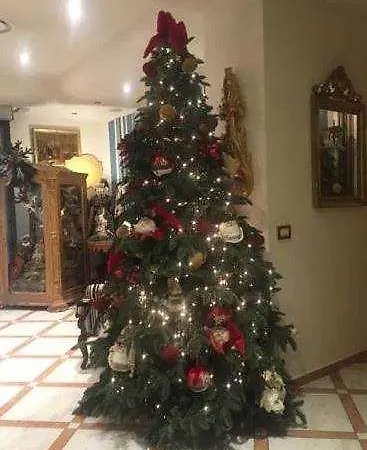 Al Teatro Hotel 3*